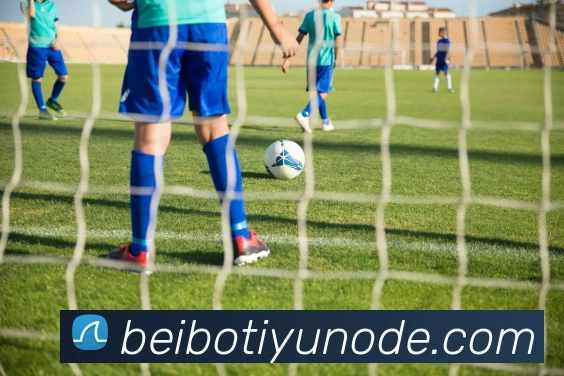 多媒体互动体验